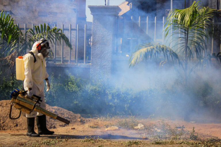 Why Fumigation & Pest Control Is Essential During the Rainy Season